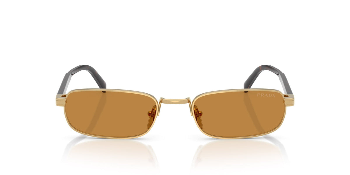 Prada SPR B54