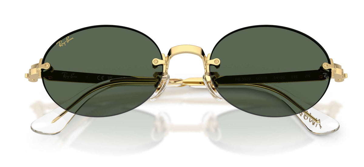 Ray-Ban RB3929