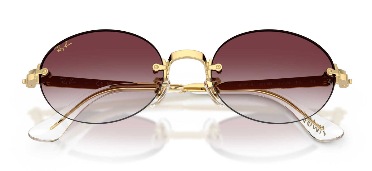 Ray-Ban RB3929