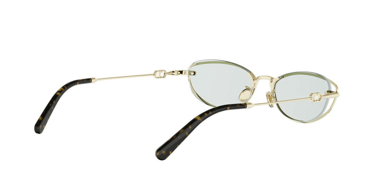 Dior Petit CD B1U