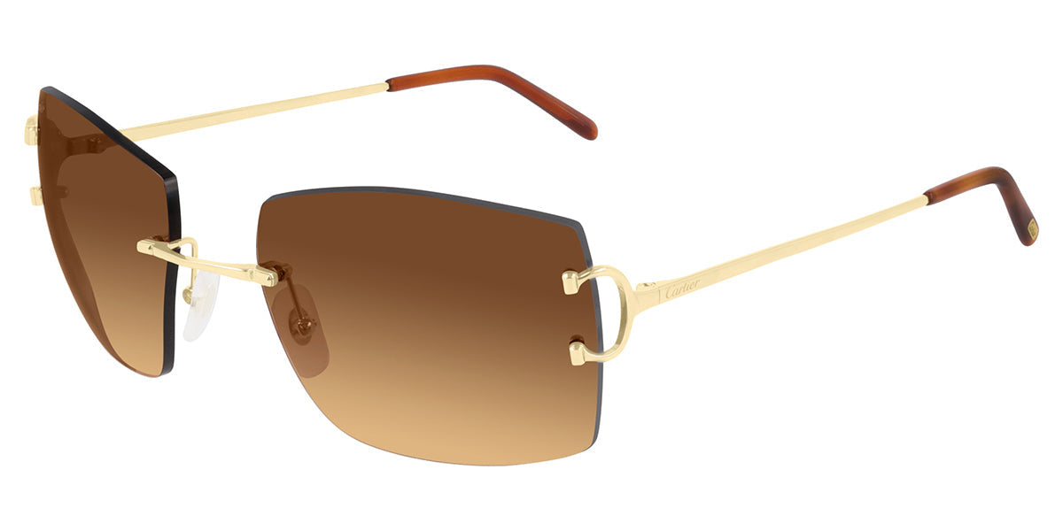 Cartier CT0009RS