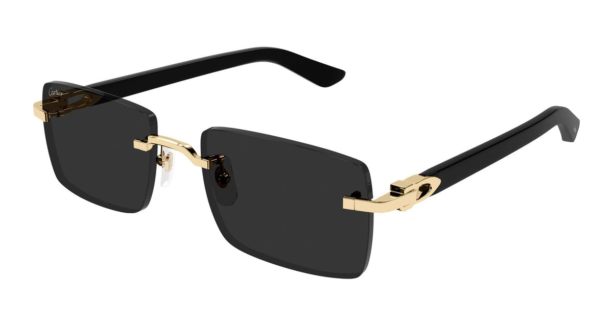 Cartier CT0579S