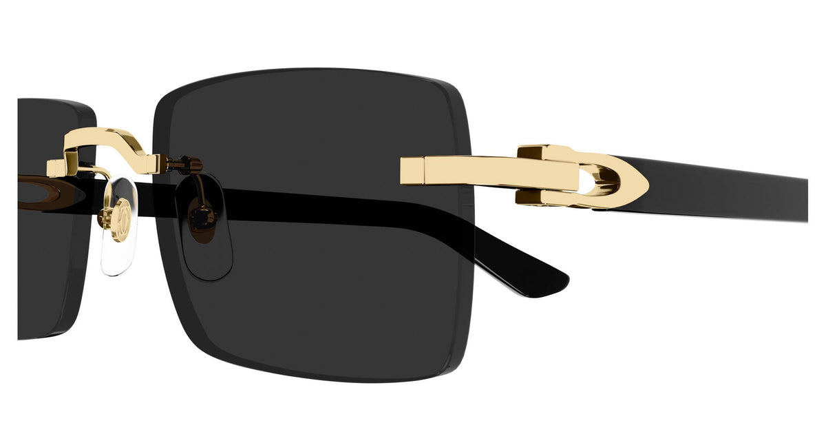 Cartier CT0579S