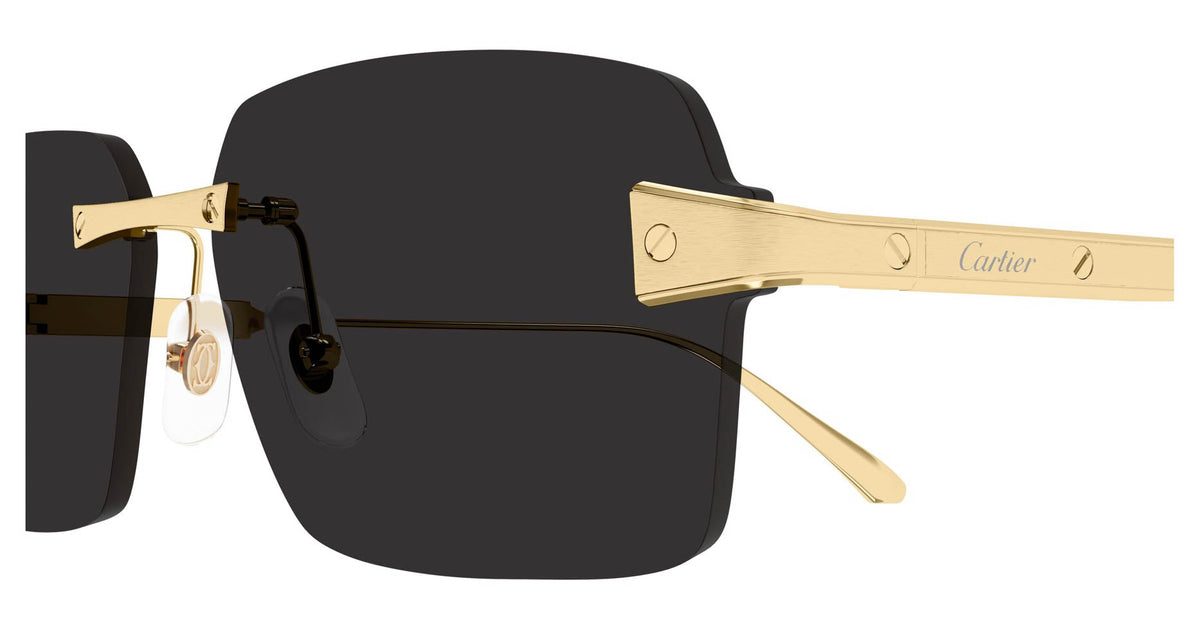 Cartier CT0652S