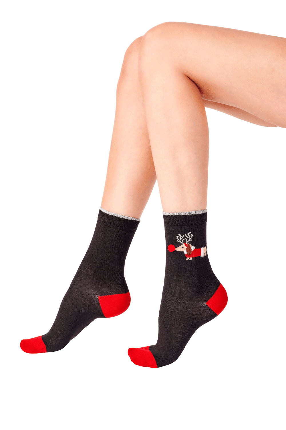 Sausage Dog Socks AXG5