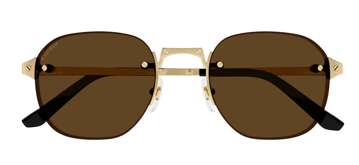 Cartier CT0459S