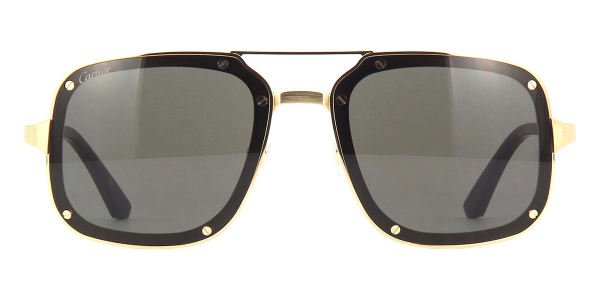 Cartier CT0194S