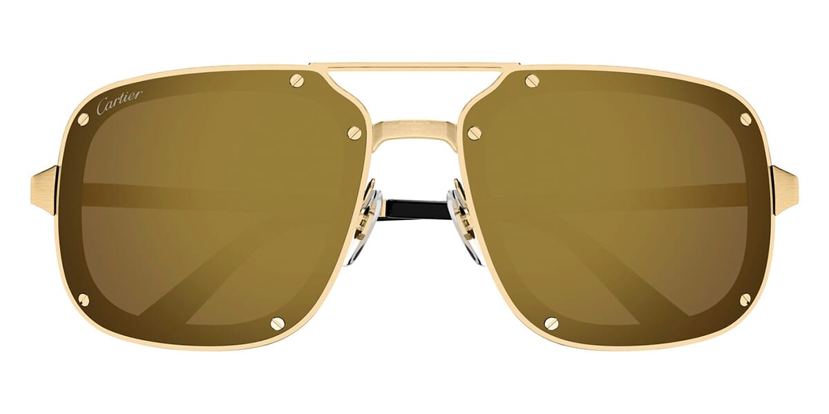 Cartier CT0194S