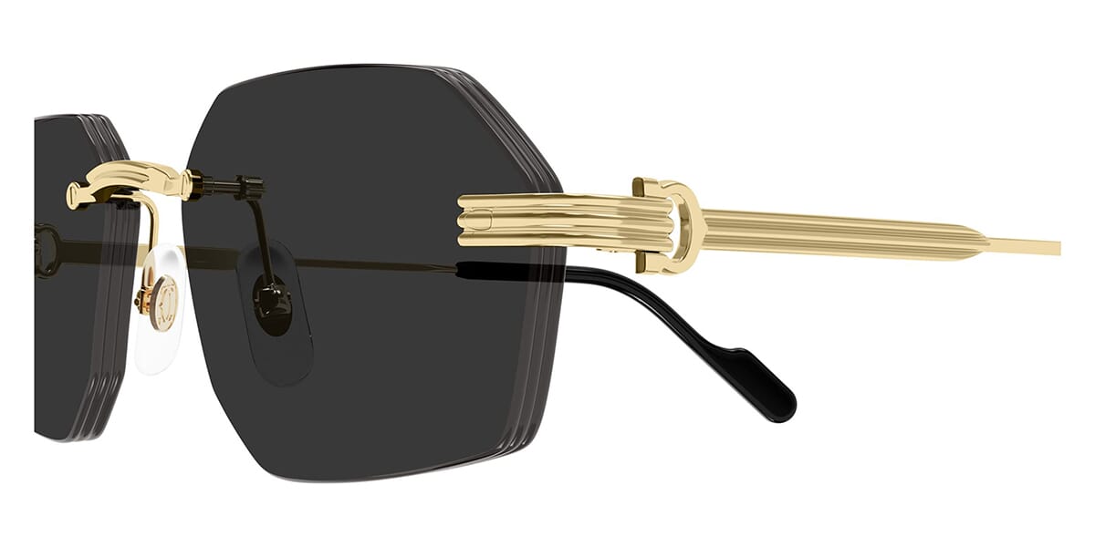 Cartier CT0616S
