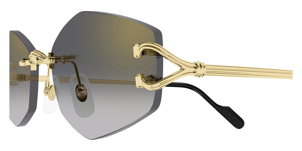 Cartier CT0620S