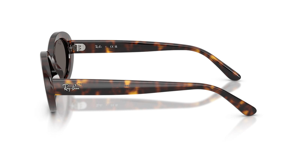 Ray-Ban RB2223