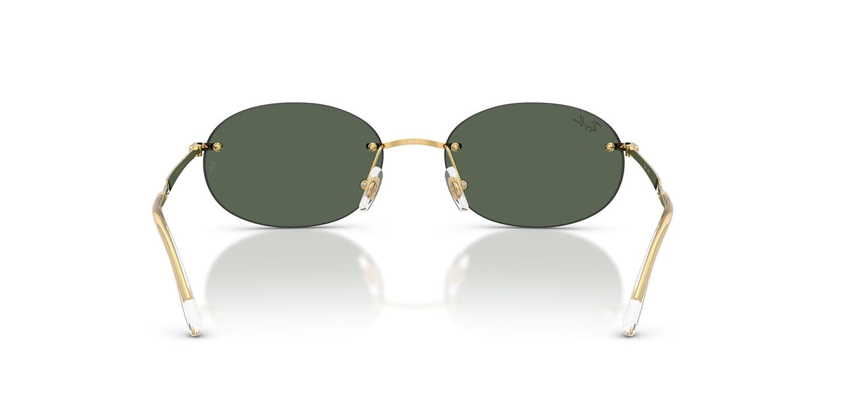 Ray-Ban RB3767