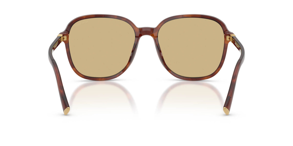 Miu Miu SMU B01