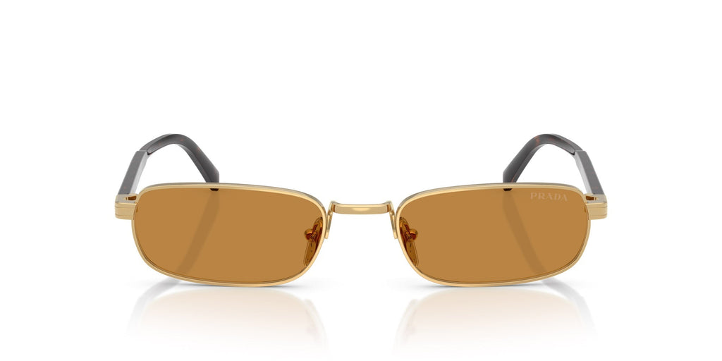 Prada SPR B54