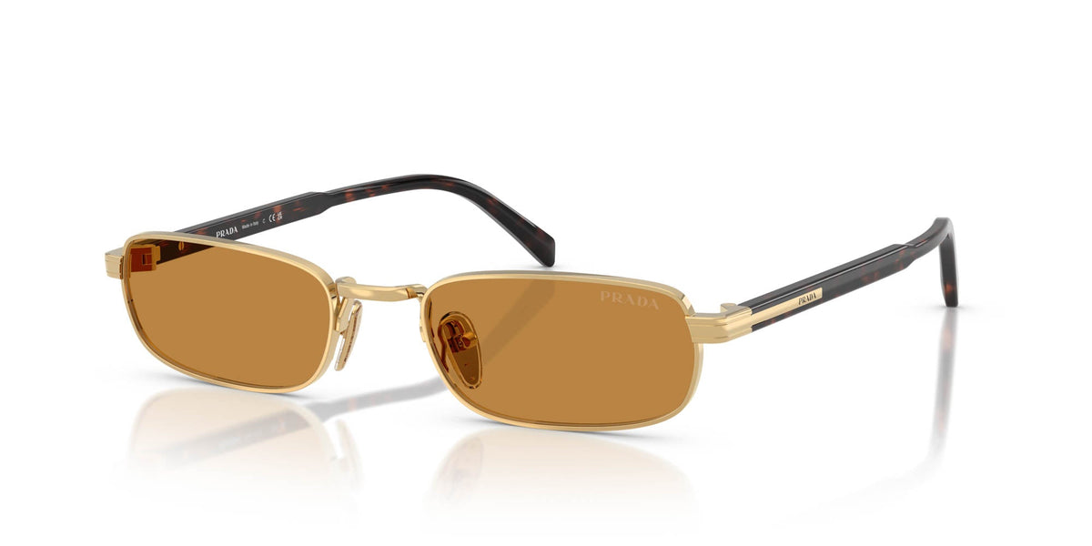 Prada SPR B54