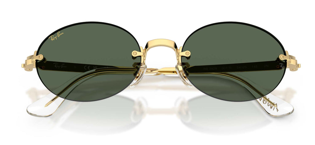 Ray-Ban RB3929