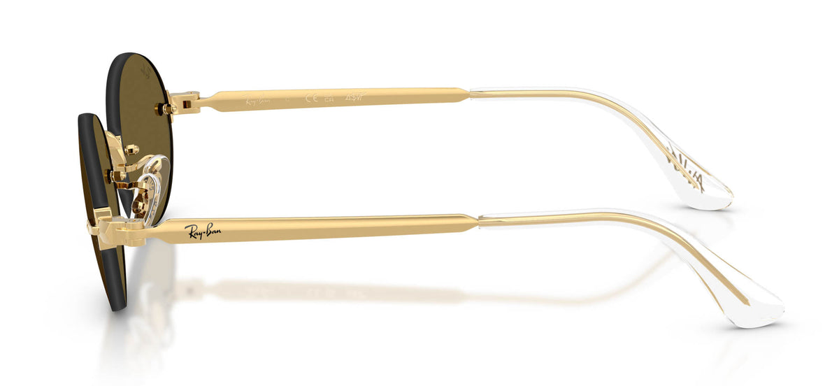 Ray-Ban RB3929