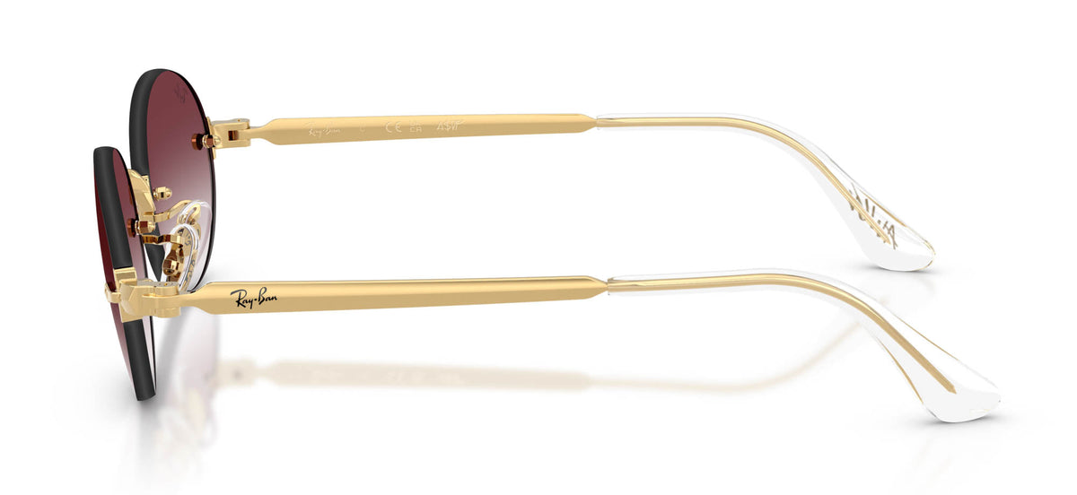 Ray-Ban RB3929