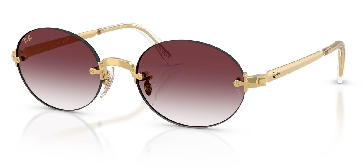 Ray-Ban RB3929