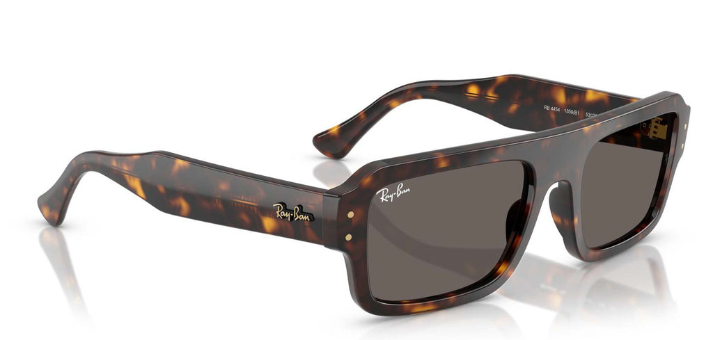 Ray-Ban Flacko RB4454