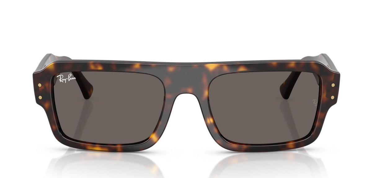 Ray-Ban Flacko RB4454