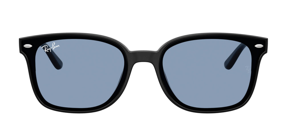 Ray-Ban RB4461D