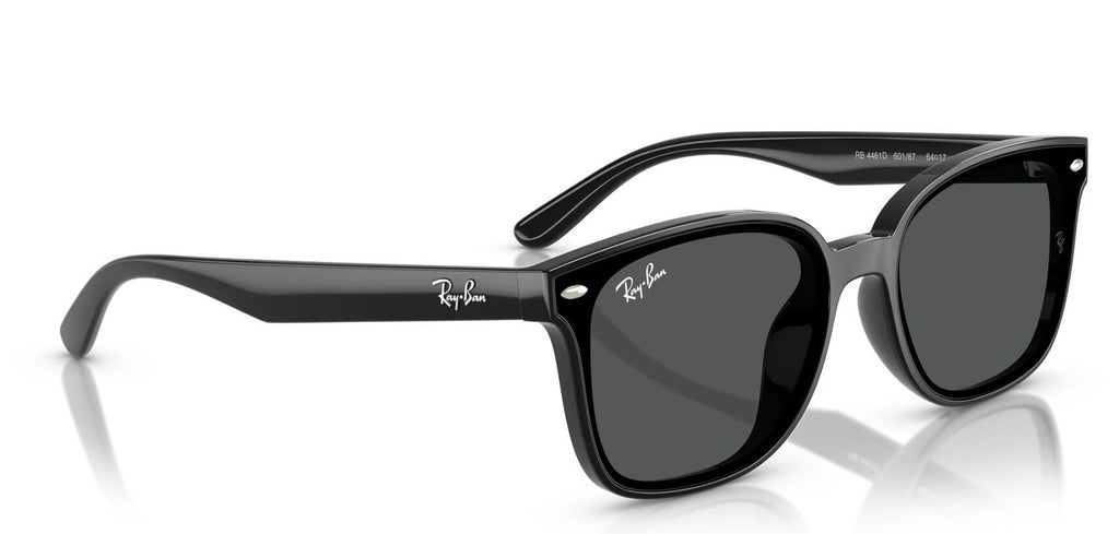 Ray-Ban RB4461D