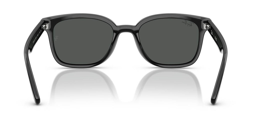 Ray-Ban RB4461D