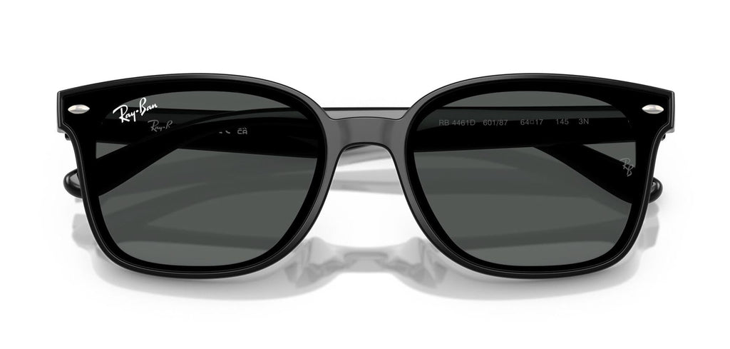 Ray-Ban RB4461D