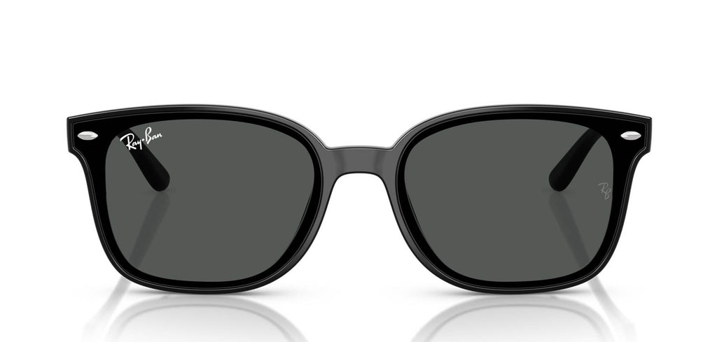 Ray-Ban RB4461D