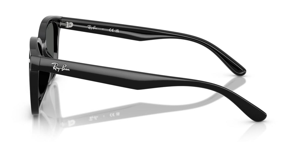 Ray-Ban RB4461D