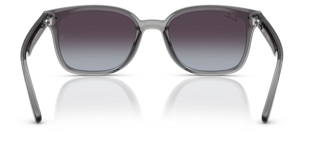 Ray-Ban RB4461D