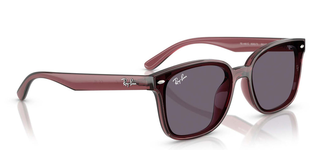Ray-Ban RB4461D