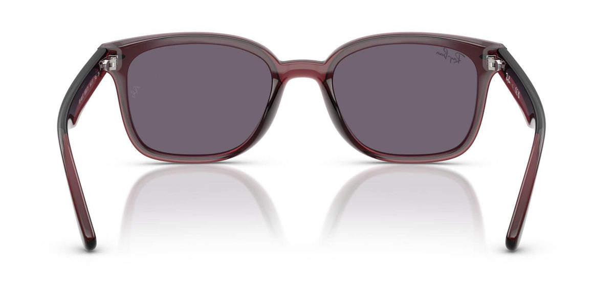 Ray-Ban RB4461D