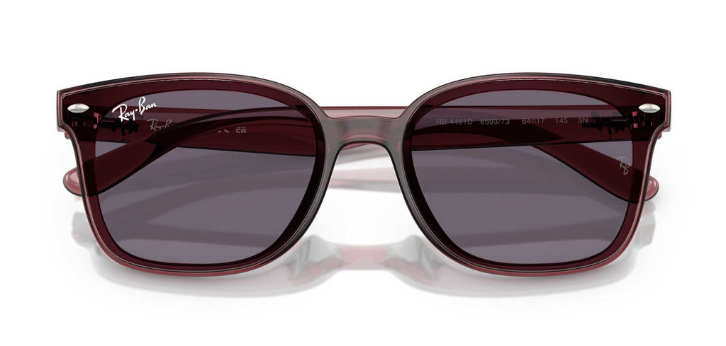 Ray-Ban RB4461D