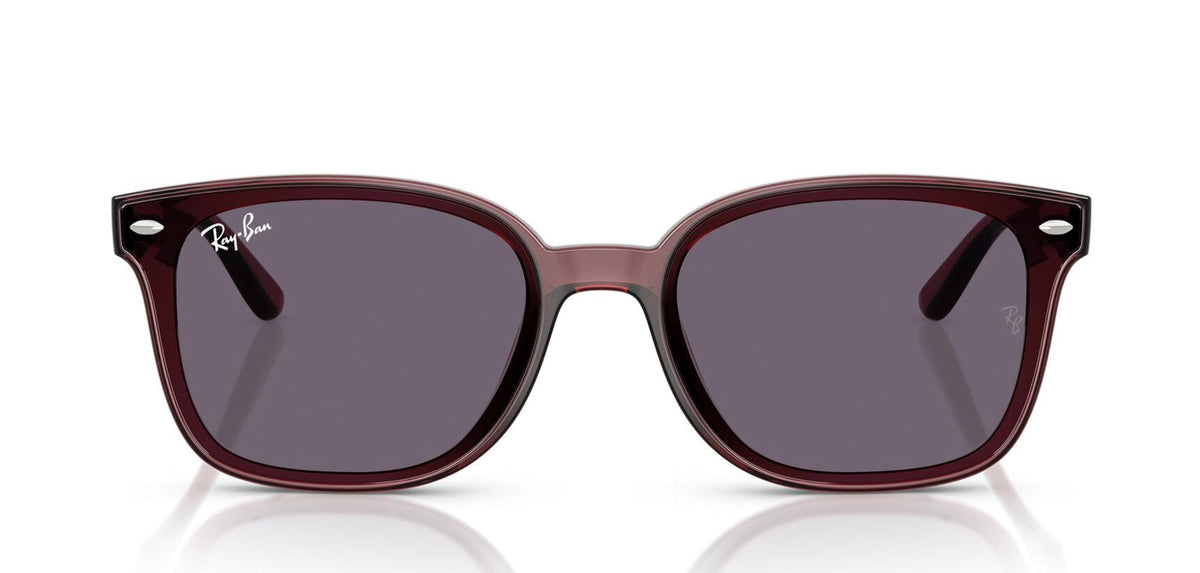 Ray-Ban RB4461D