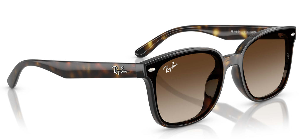 Ray-Ban RB4461D