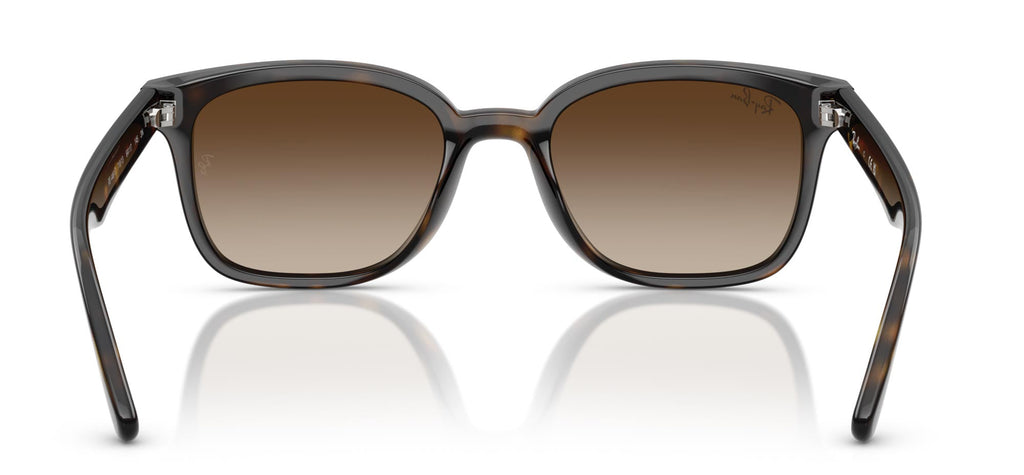 Ray-Ban RB4461D