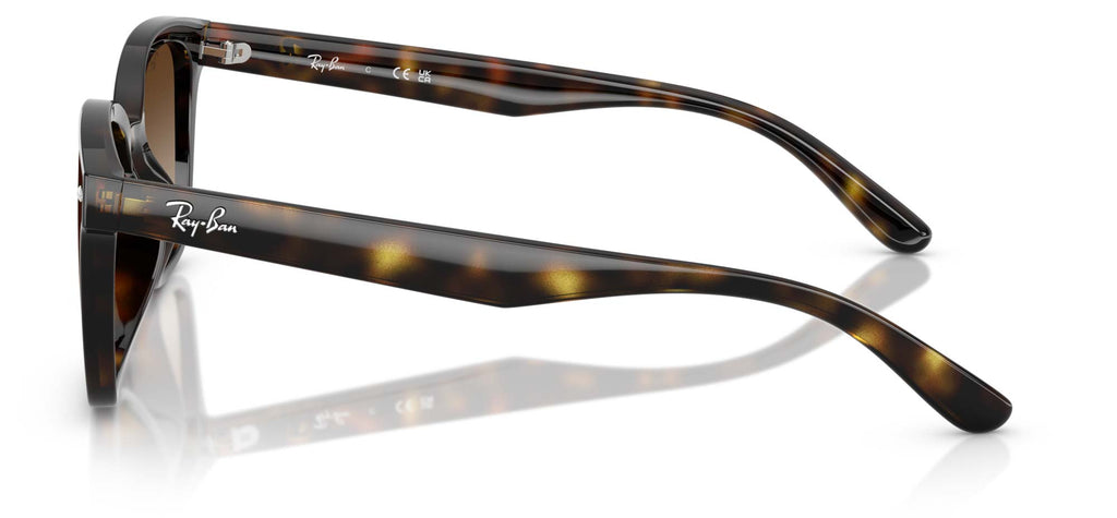 Ray-Ban RB4461D