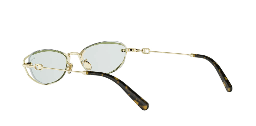 Dior Petit CD B1U