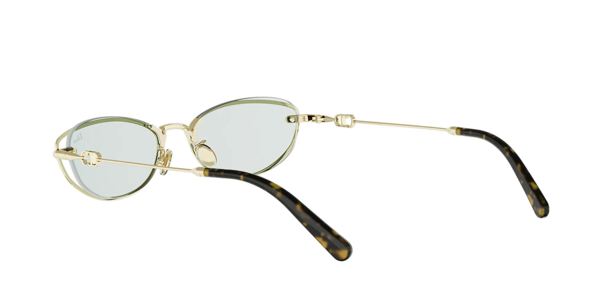 Dior Petit CD B1U