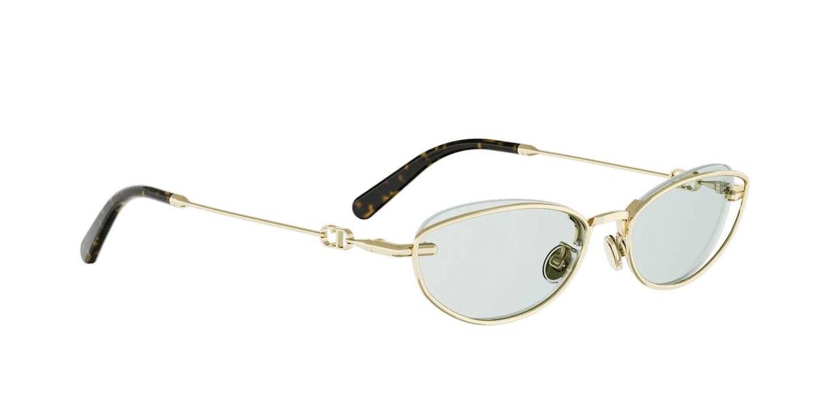 Dior Petit CD B1U