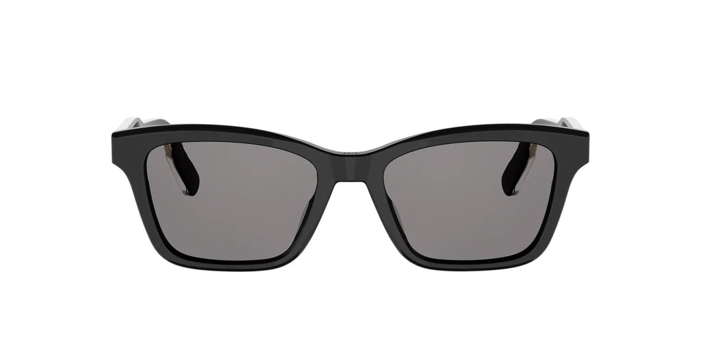 Dior DioRibbon S2I