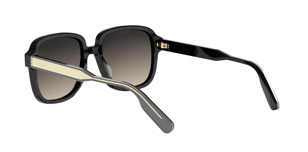 Dior DioRibbon S1I