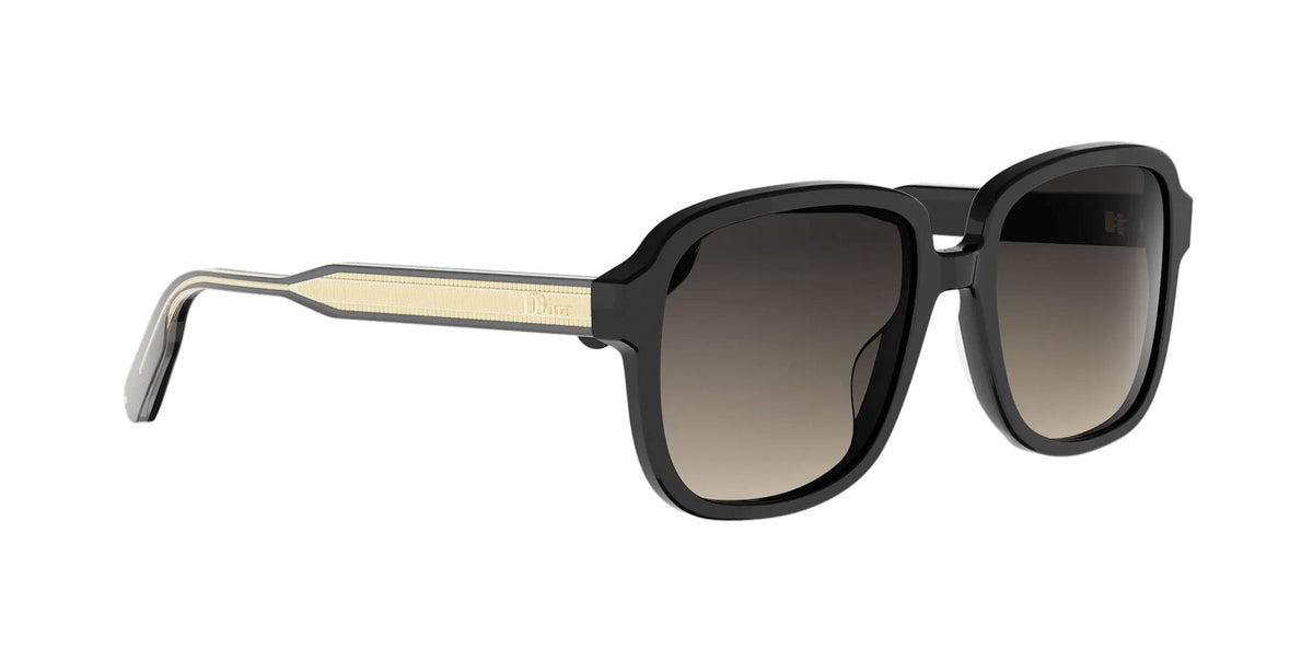 Dior DioRibbon S1I