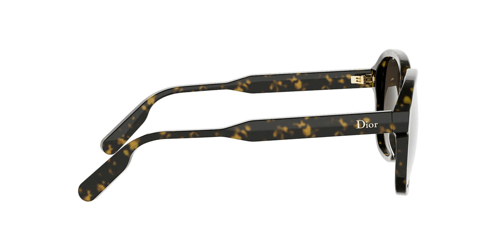 Dior DioRibbon S1I