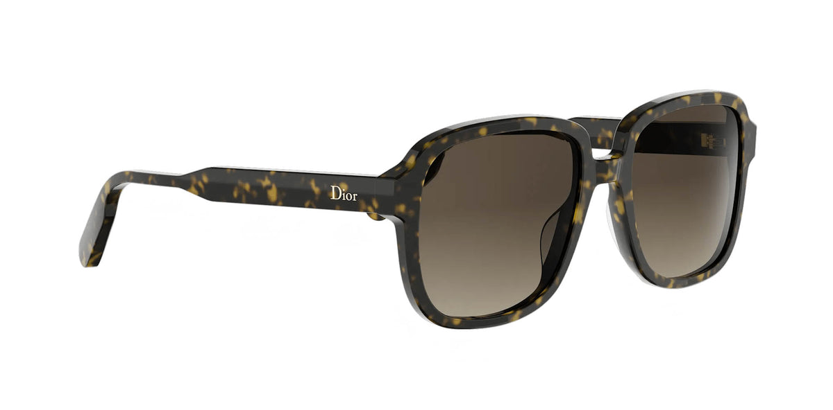 Dior DioRibbon S1I