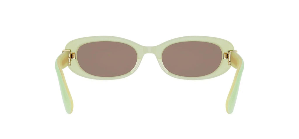 Dior Oblique B1I