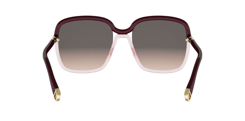 Dior Twincolours S1I