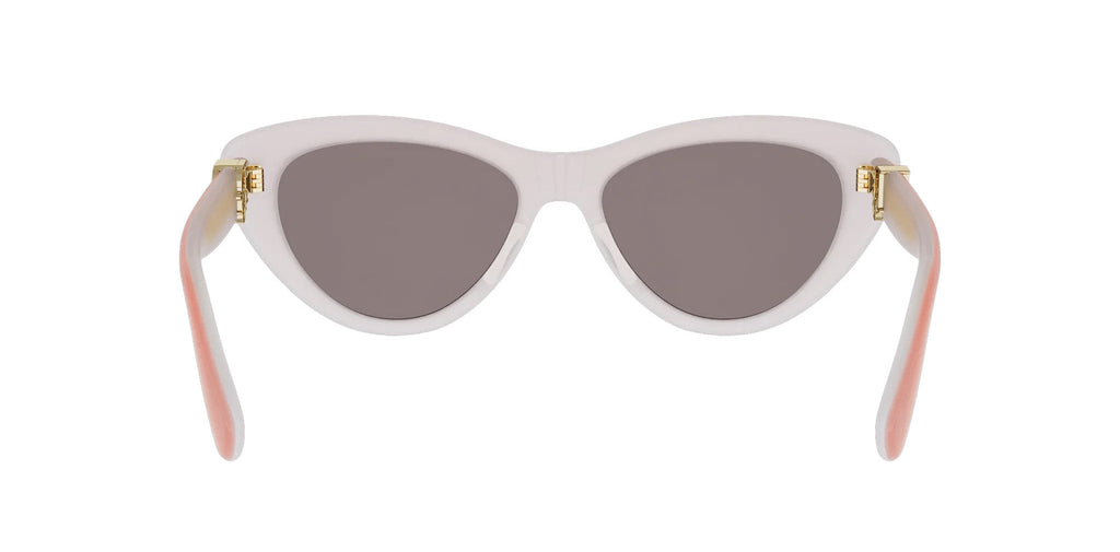 Dior Oblique B2I